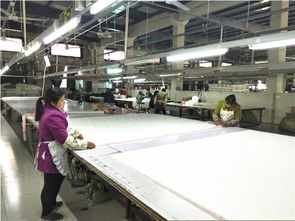 良心推薦 小永遠羽絨被加工廠品質(zhì)優(yōu)價廉，誠招代理加盟